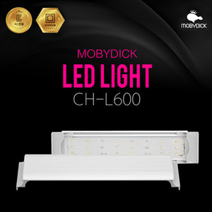 bizidduk모비딕(MOBYDICK) LED 라이트 CH-600 (화이트)