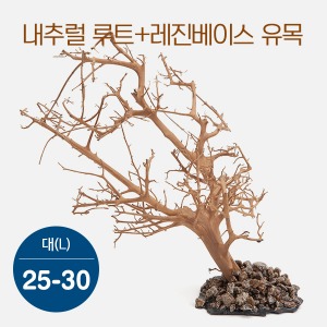bizidduk내추럴 루트+레진베이스 유목(대) 25~30cm